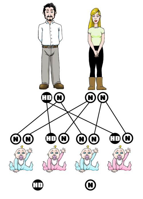 50 percent chances diagram