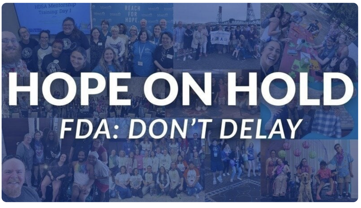 Hdyo 2025 11 14 184259 3297 article