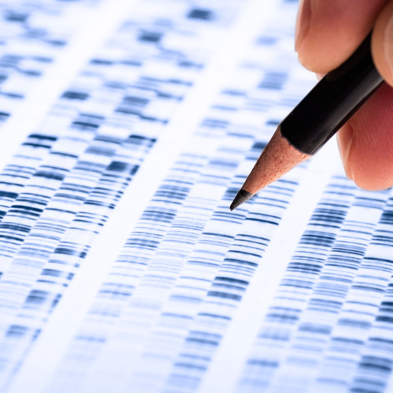 microscope science gene genetics